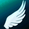 LittleWing