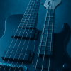 NurB