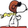 Woodstock