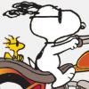 Woodstock