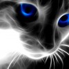 Felino