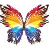 LittleWing