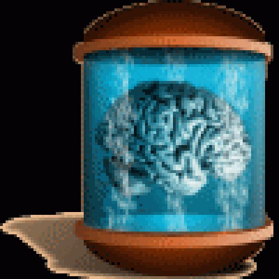 BrainInJar