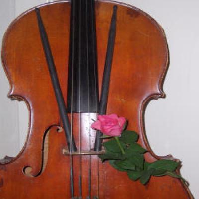 jamlady