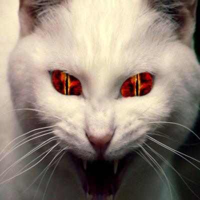mortheol