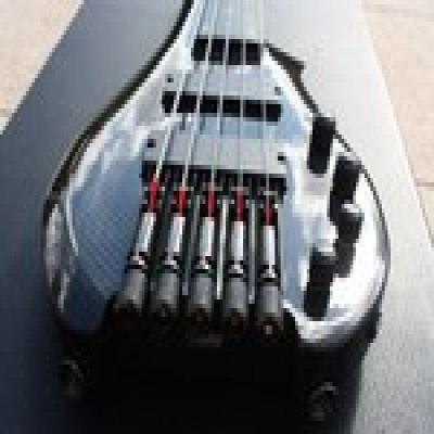 BASS13013