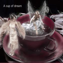 A Cup of Dream