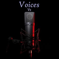 Voices V2
