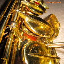 Saxophonia
