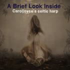 A Brief Look Inside Caroljoyce's Celtic Harp