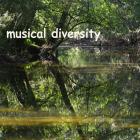 musical diversity