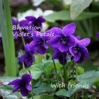 Bluvation Violet's Petals