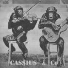 Cassius & Co