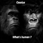 What's human ?