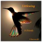 Littlewing & Friends