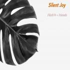 Silent Joy
