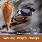 Saving Energy Songs