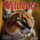 Wildcats  Feline instinct
