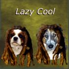 Lazy Cool