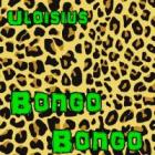 Bongo Bongo