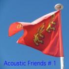 Acoustic Friends # 1