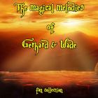 The magical melodies of Gerhard & Wade