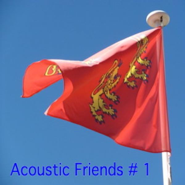 Acoustic Friends # 1