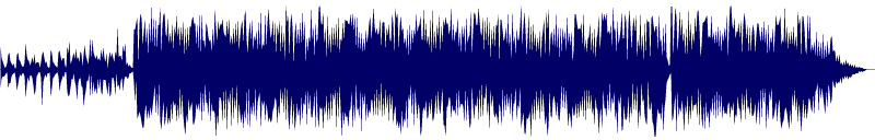 Volume waveform