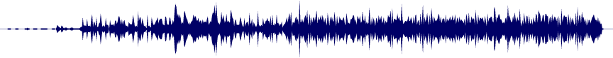 Volume waveform