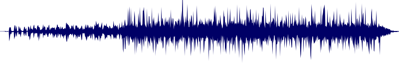 Volume waveform