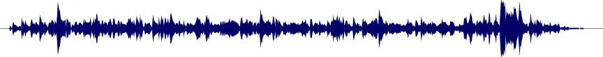 Volume waveform