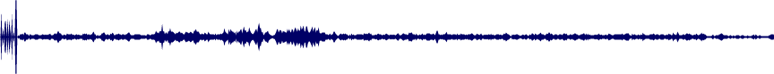 Volume waveform