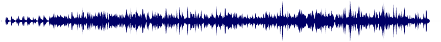 Volume waveform